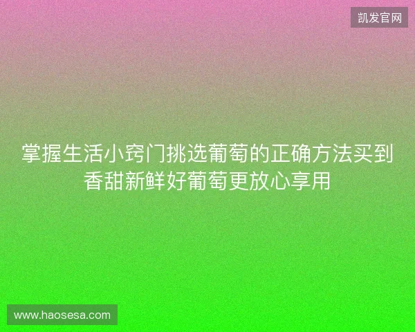 掌握生活小窍门挑选葡萄的正确方法买到香甜新鲜好葡萄更放心享用